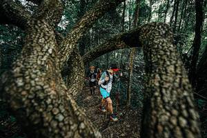 BIB: 
                            <button type="button" onclick="openModal(25392731)" class="btn btn-primary btn-sm float-right btn-popup" data-toggle="modal" data-target=".modal-high-quality">
                        <i class="fas fa-shopping-cart"></i> Add to Cart
                    </button>
                                            <button type="button" onclick="isThisMe(25392731, true)" class="btn btn-success btn-sm float-right btn-popup btn-isme hidden" data-toggle="tooltip" data-placement="bottom" title="นี่คือรูปของคุณใช่ไหม คลิกที่นี่เพื่อเอาเข้าอัลบั้ม">
                        <i class="fas fa-plus"></i> Add to album
                    </button>
                    <button type="button" onclick="isThisMe(25392731, false)" class="btn btn-warning btn-sm float-right btn-popup btn-isnotme hidden">
                        <i class="fas fa-ban"></i> Remove from album
                    </button>